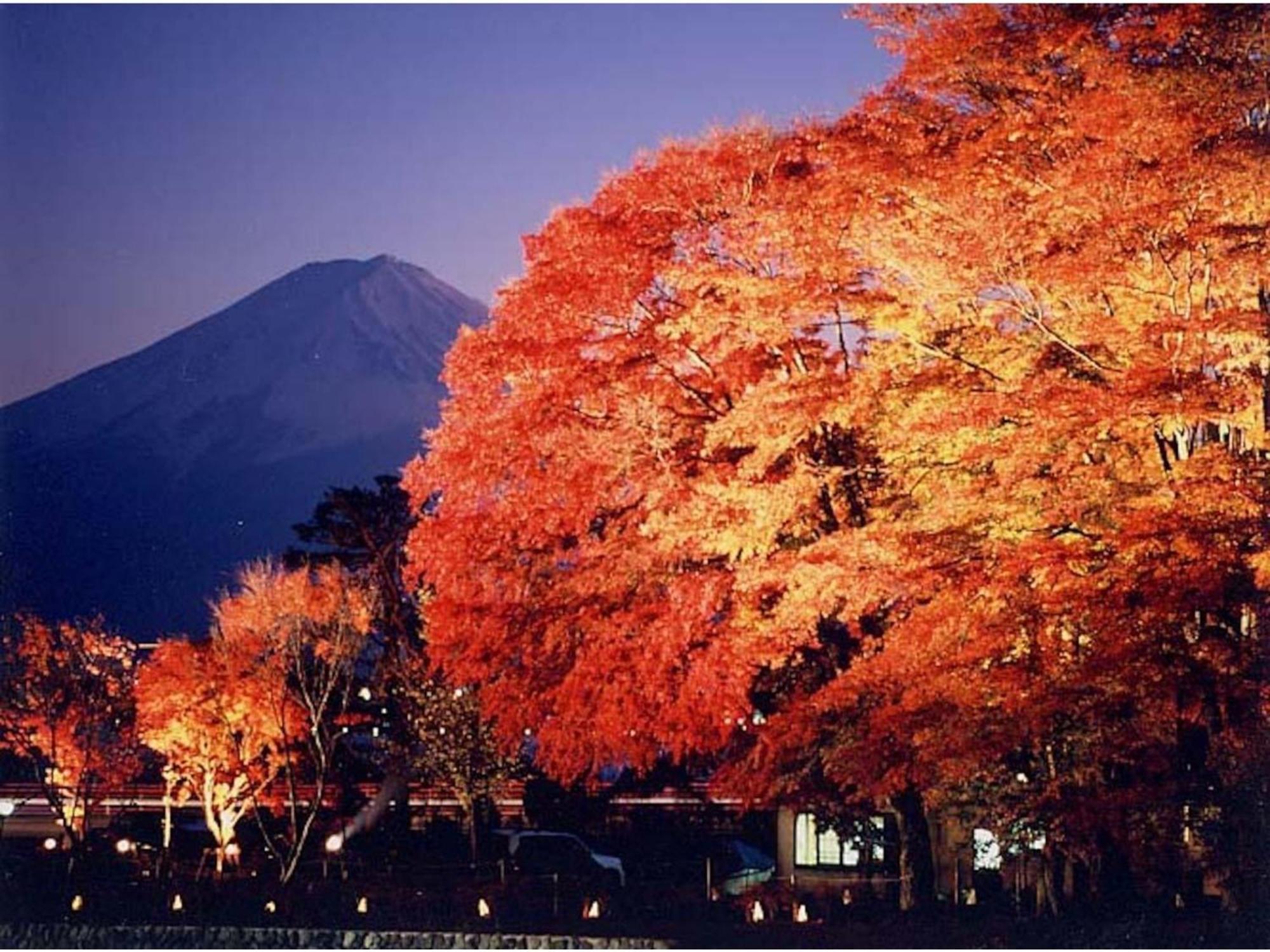 Fujisan Resort Hotel - Vacation Stay 57971V Фудзикавагутико Экстерьер фото